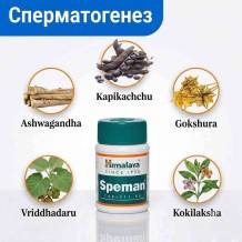 Speman — рослинний засіб для якості сперми