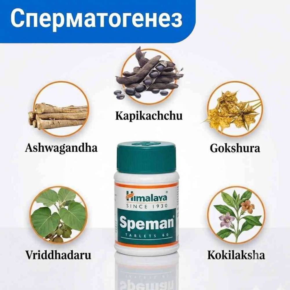 Speman — рослинний засіб для якості сперми